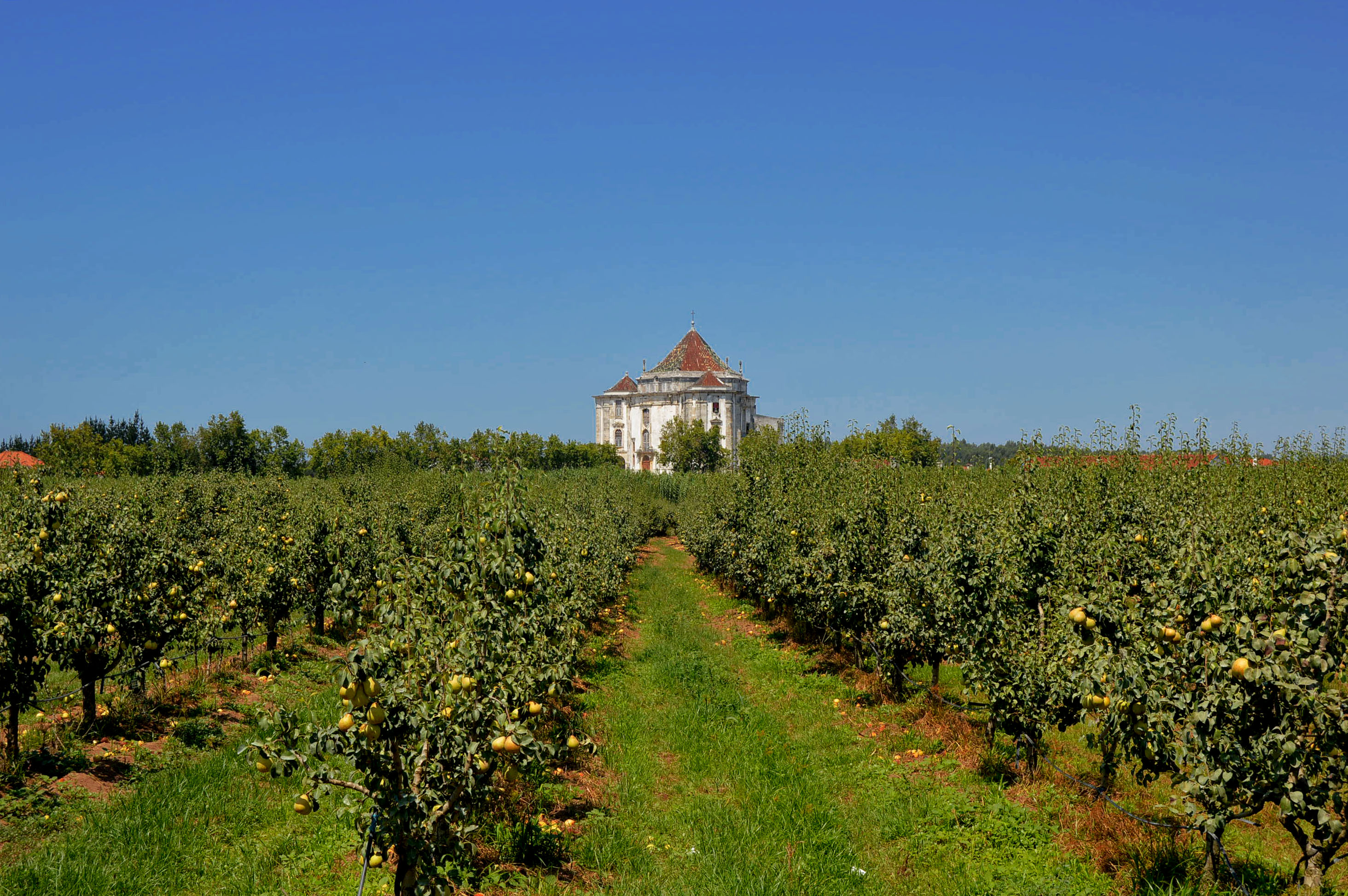 GoCaldas - Oeste Tour - Óbidos - 1