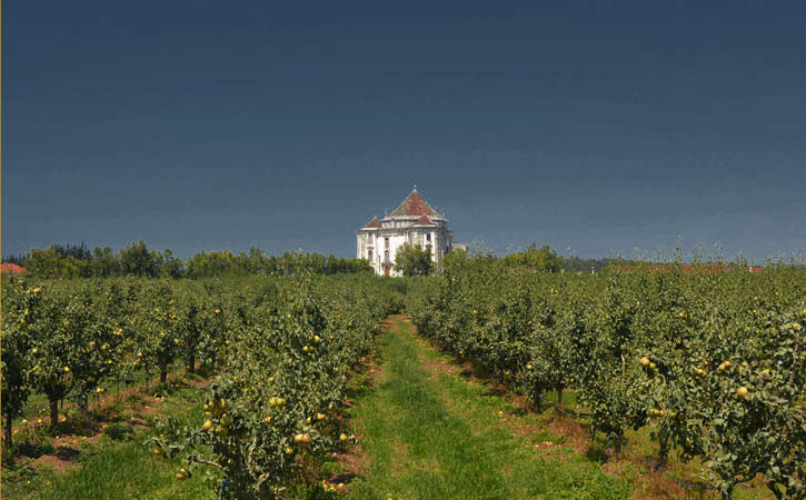 Obidos Sanctuary